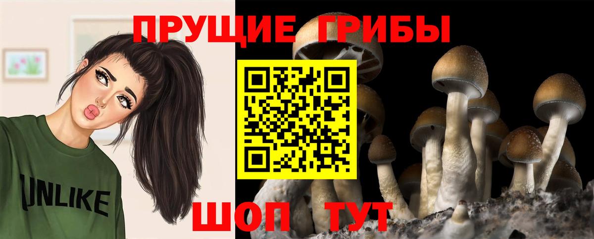 Галлюциногенные грибы Psilocybine cubensis  Вход с VPN  Миасс 